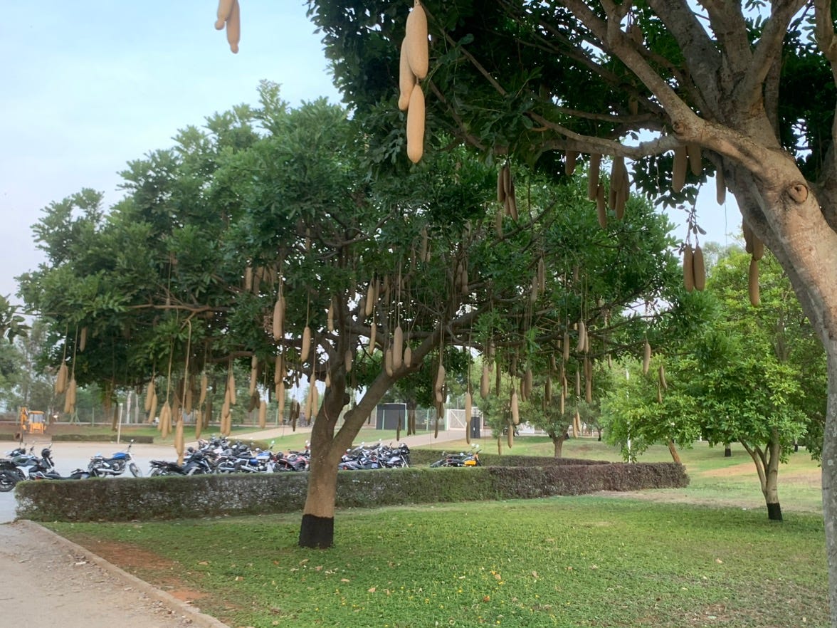 Making Life Brighter !