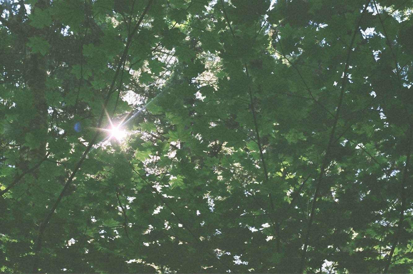 Morning ritual — barefoot on the earth at sunrise