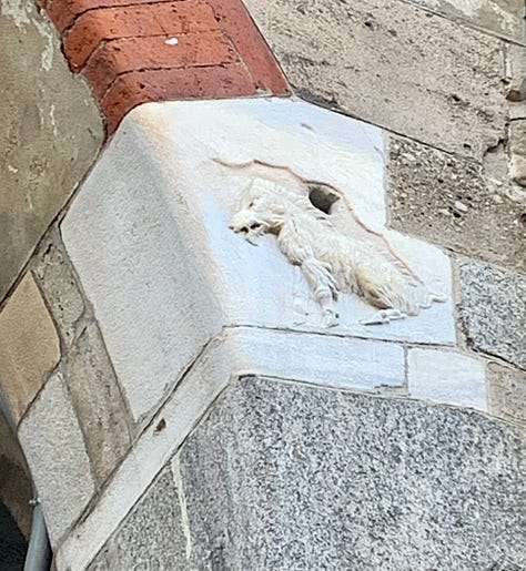 The legend of the woolly sow of the Milan foundation