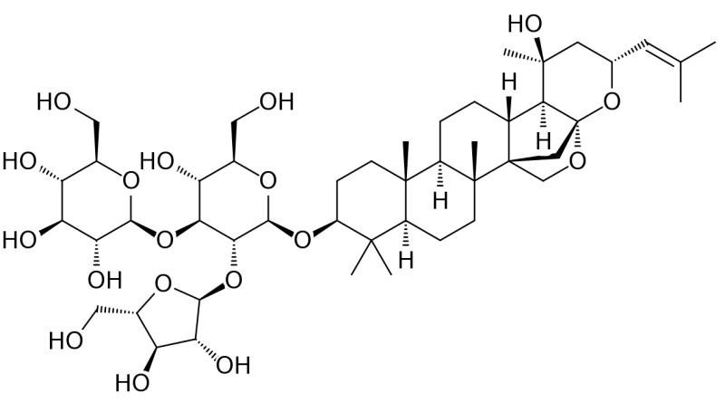 Bacopa molecule