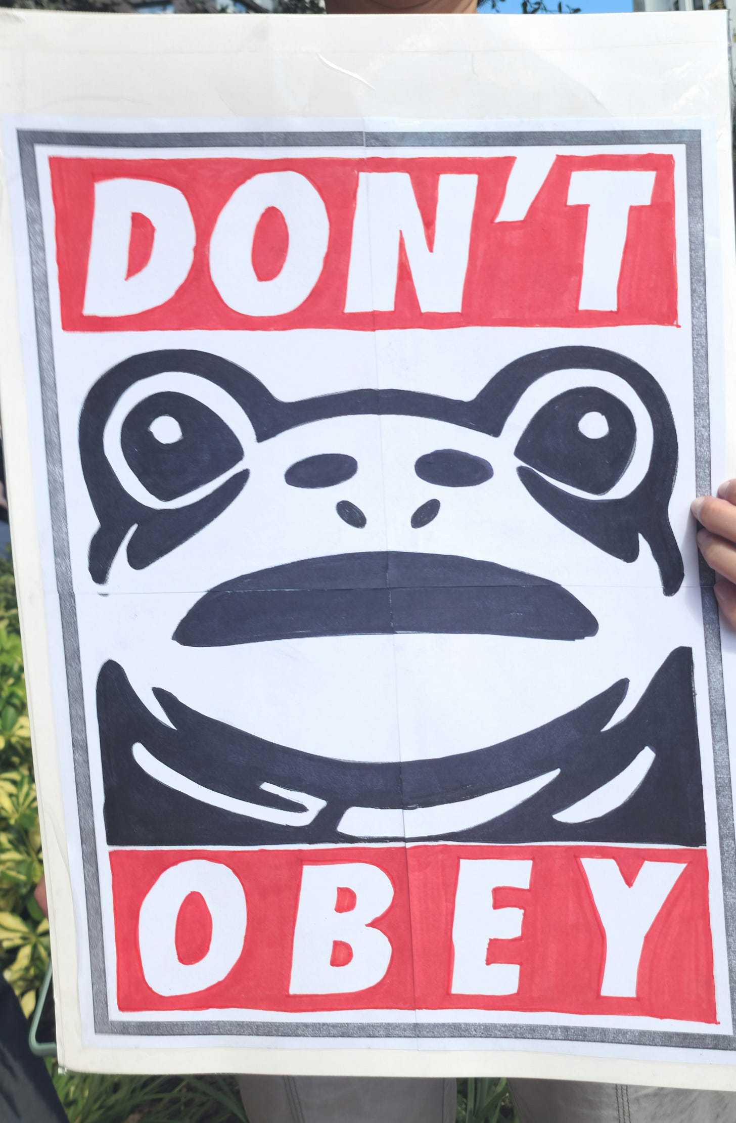 A protest sign reading "DON'T" and "OBEY" in red blocks, separated by a large, stylized black and white frog face.