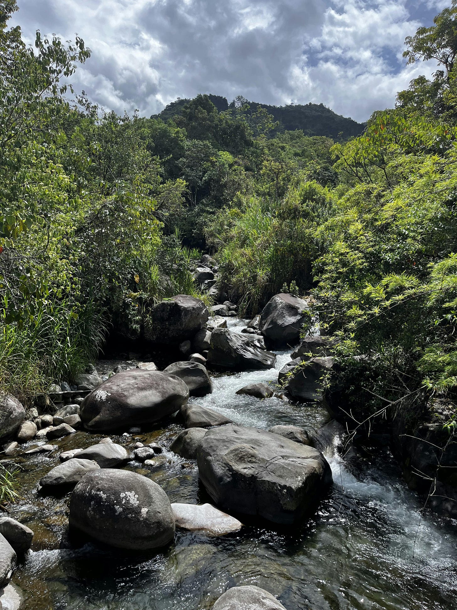 037: Loving What You Have, Having What You Love! 037: Loving What You Have, Having What You Love!