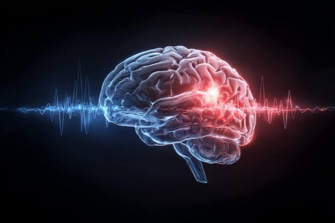 How the Brain Reactivates Emotional Experiences - Neuroscience News How the Brain Reactivates Emotional Experiences - Neuroscience News