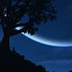 Strict Scrutiny: After Dark