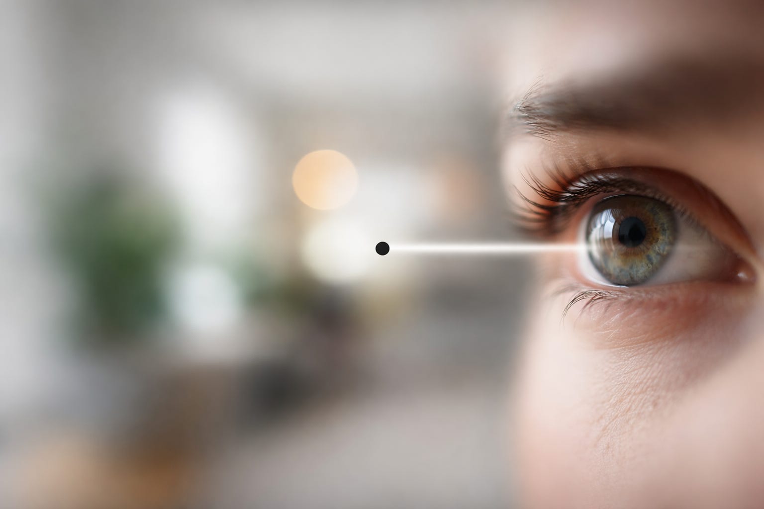 Part 4: Sensory Adaptation and Visual Fading: When the Brain Gets Bored ...