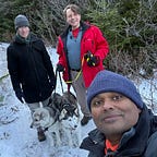 Tales under the cat tree