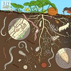 The Most Complex Drawing I've Ever Done