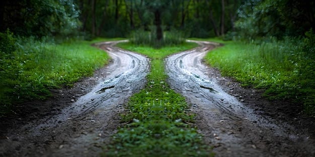 Simbolismo de uma bifurcação na estrada Dois caminhos Escolhas e  Oportunidades Divergentes Conceito Decisão Fazer Escolhas de Vida Direção  Futura Encruzilhadas Simbolismo das Escolhas | imagem Premium gerada com IA