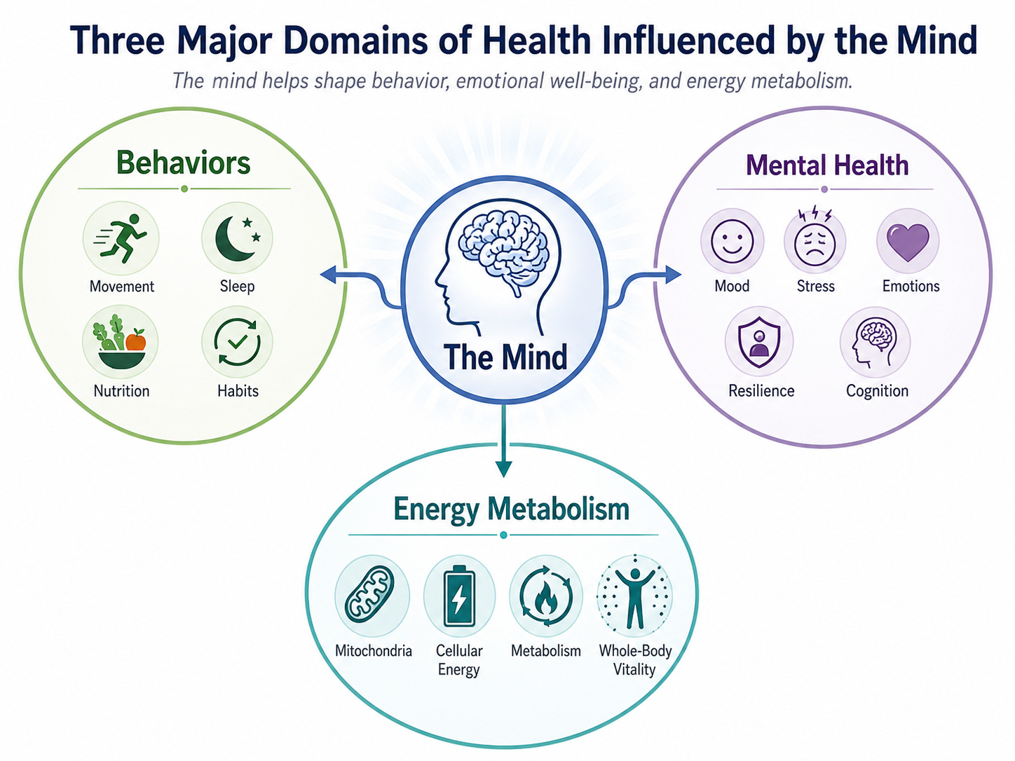 A figure showing the three domains of health influenced by the mind: behaviors, energy metabolism, and mental health. A figure showing the three domains of health influenced by the mind: behaviors, energy metabolism, and mental health.