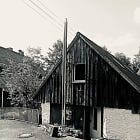 Die Verlebendigung des Ursprungs