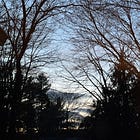 the distraction of grief.