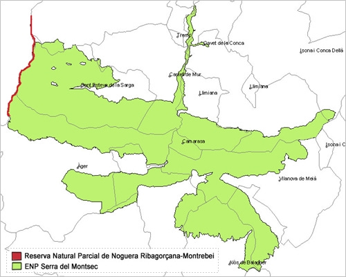 img_RNP