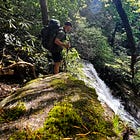 Woodlands and Water: Into the Green World