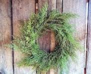 Sweet Annie {Wormwood}