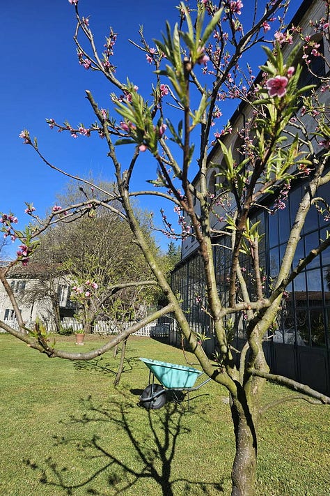 le residenze di greenplanner