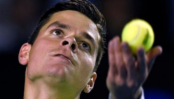 milos raonic top bare seeder tennis back abn amro tournament 2015 milos raonic top bare seeder tennis back abn amro tournament 2015