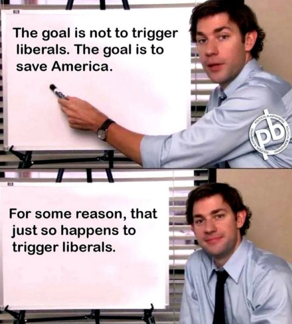 May be an image of 2 people and text that says 'The goal is not to trigger liberals. The goal is to save America. ΦΟυTEM b គបគ្ណ្សក្ស Beatunes For some reason, that just so happens to trigger liberals.'