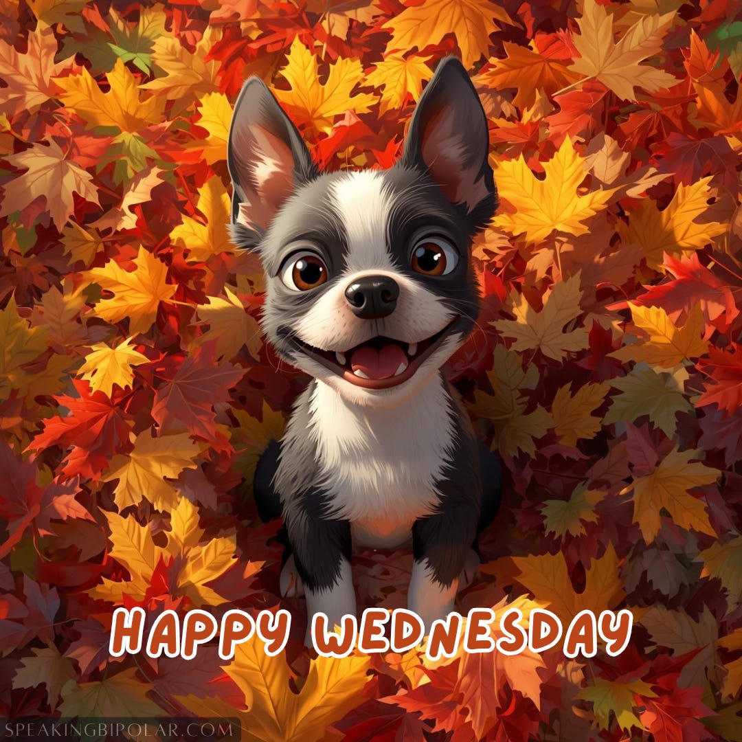 A happy cartoon boston terrier puppy sitting in a pile of fall leaves