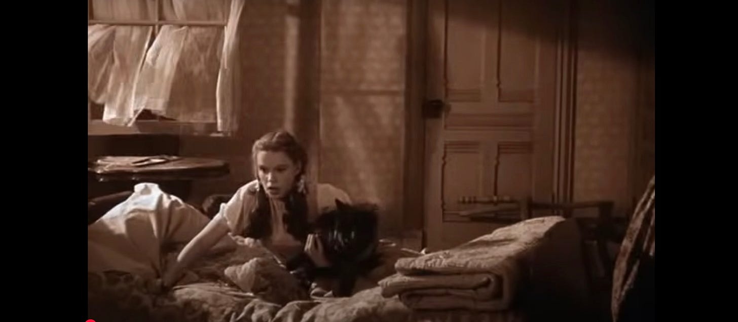 Oz Dorothy lands in Oz