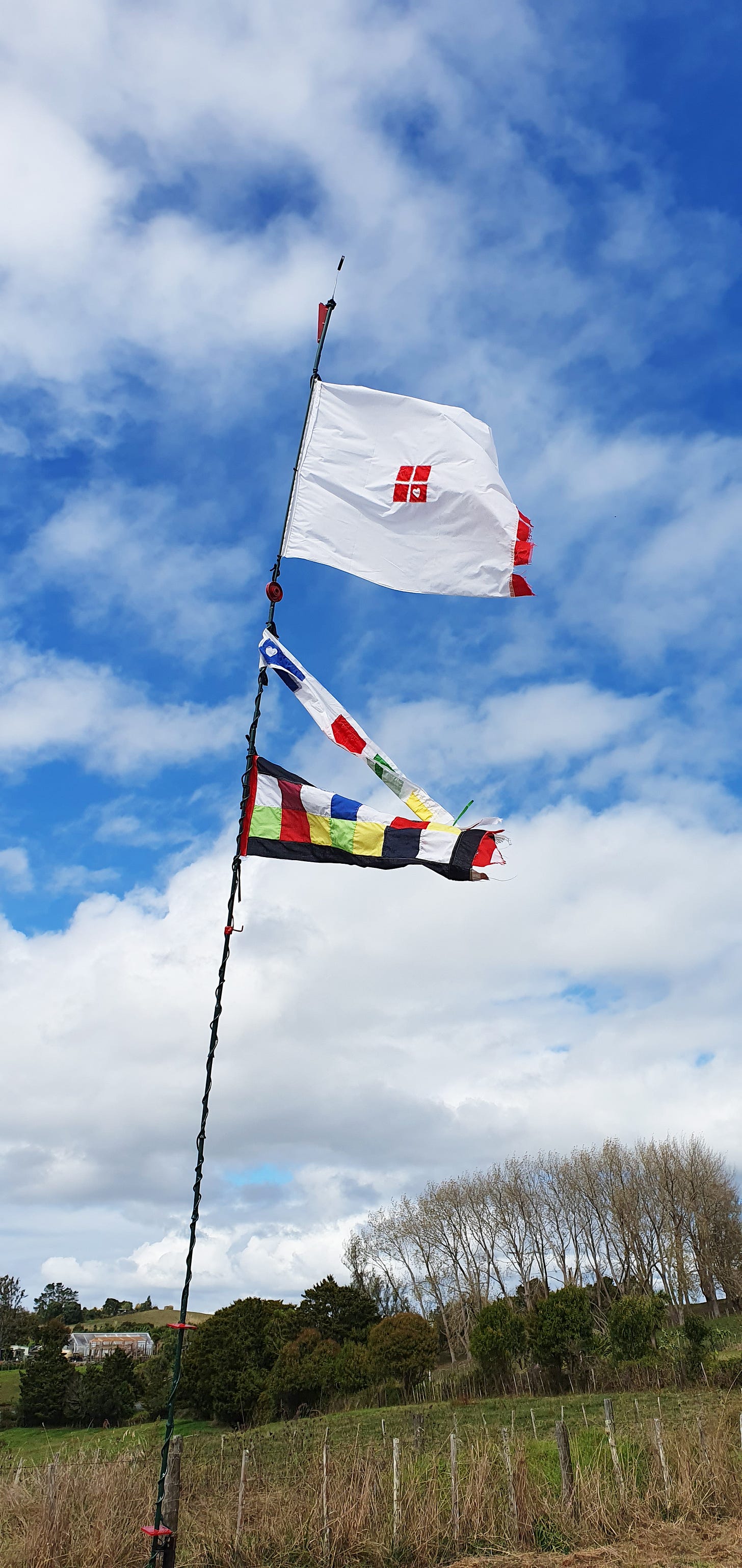 Flags made by McKinleyRd Creatives flying in top paddock. NOT nationalistic flags.