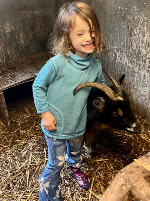 Happy times in the barnyard