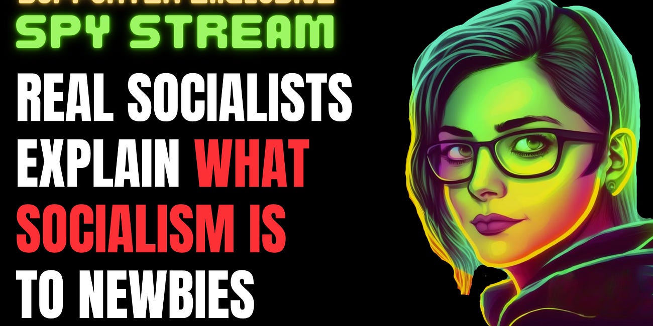 SPY STREAM: Inside A Live Socialist Training On What Socialism Is