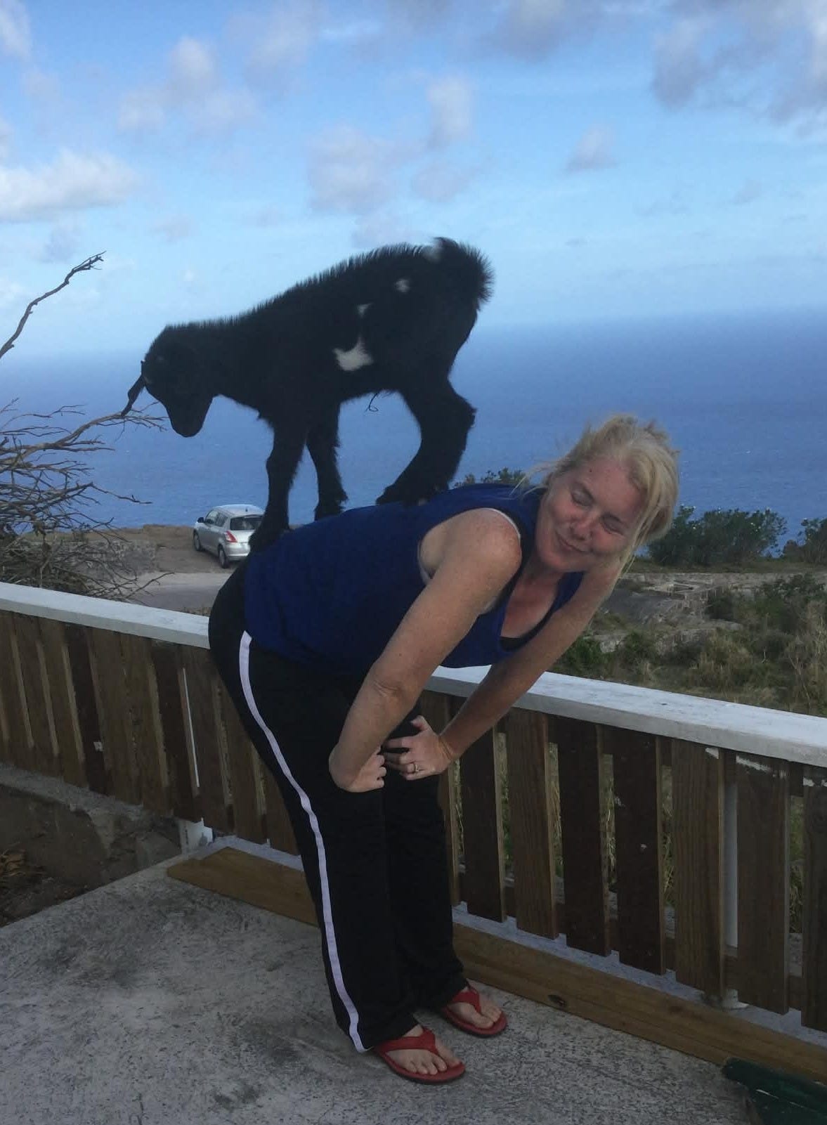 Moo baah being a backpack baby on Jill 