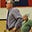 Paul Greenlaw's avatar