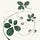 Wider Circles by Kristen Caissie