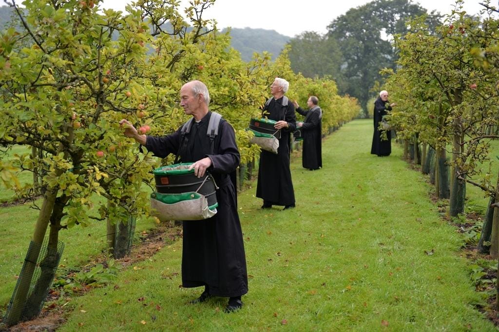 Apples keep monks in good spirit | The Northern Echo