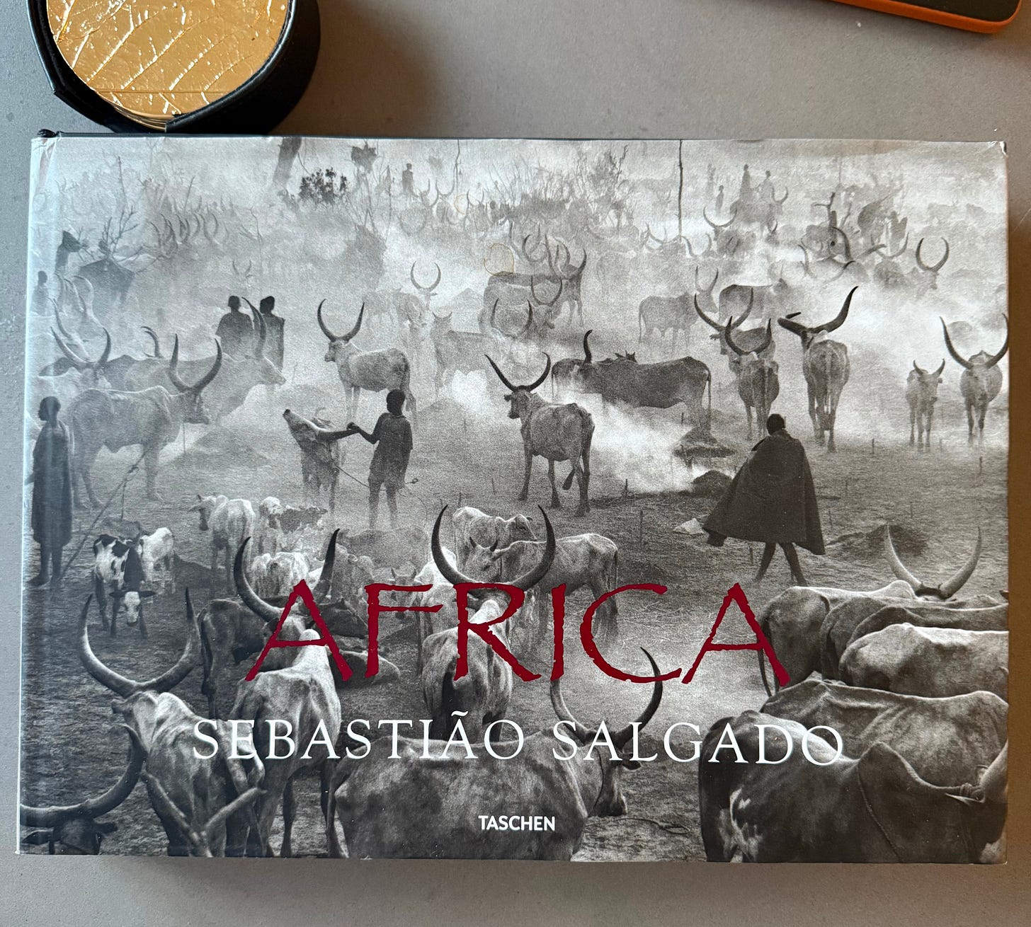 Seabstio Salgado's Africa