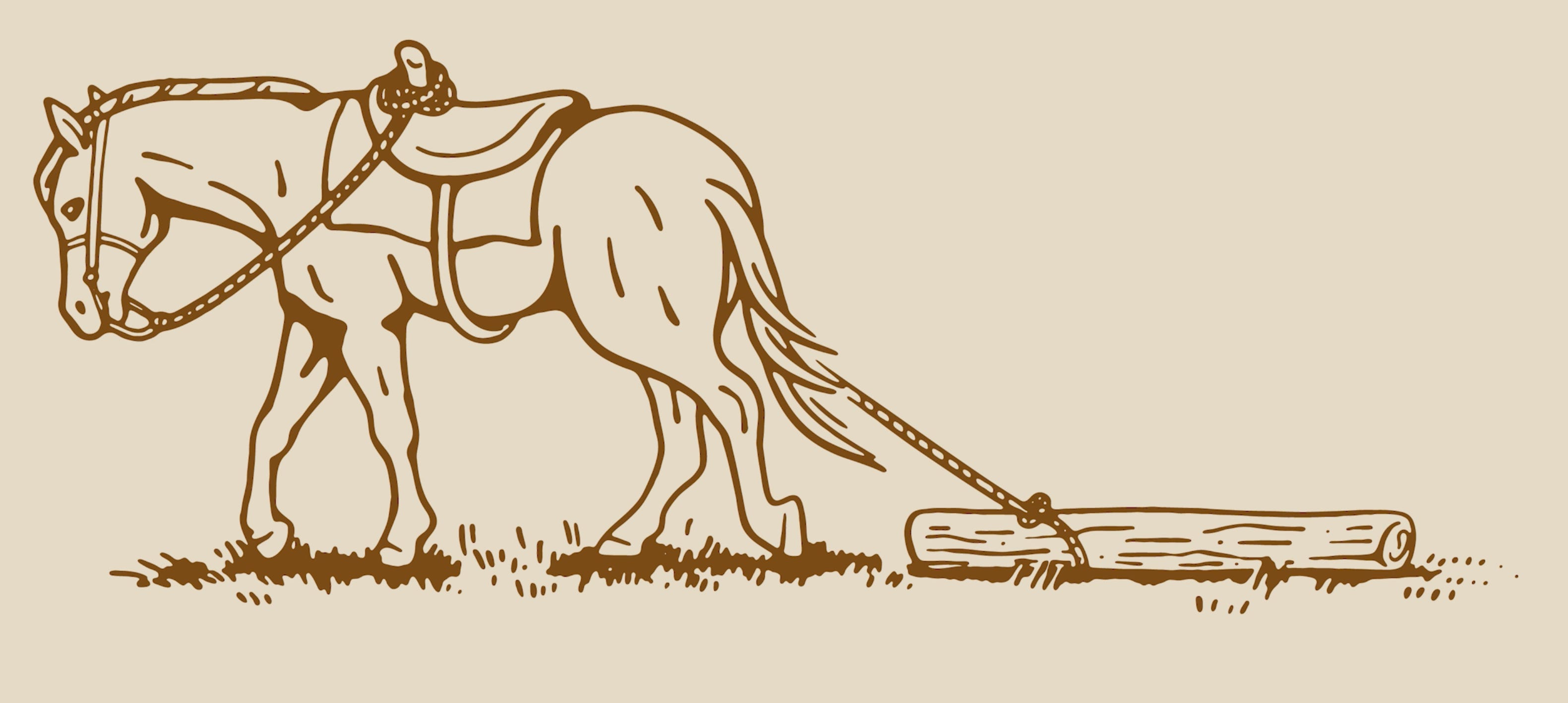 Worn Illustration Tutorial - by Meg Burk - Sketch Blog