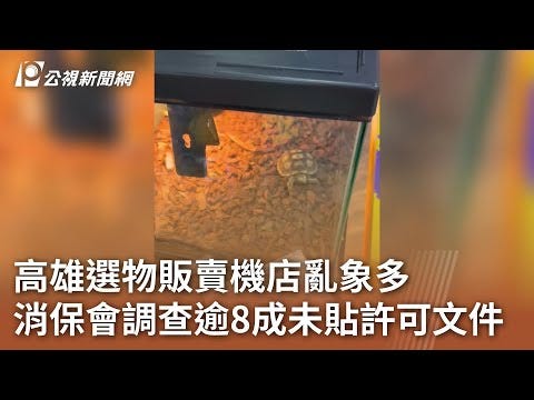 高雄選物販賣機調查新聞畫面｜來源：公視新聞網 PNN / YouTube 縮圖