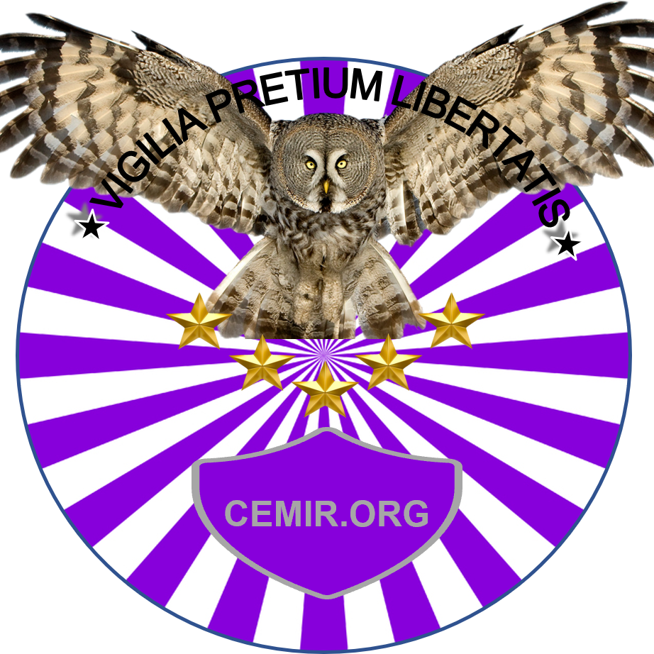 the CEMIR's Substack