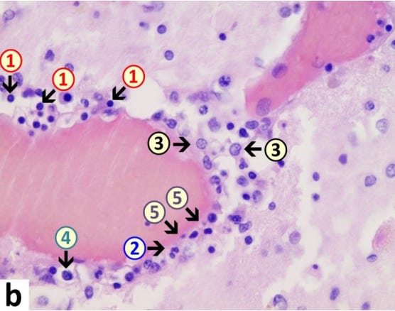Map

Description automatically generated