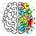 The Learning Brain