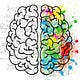 The Learning Brain