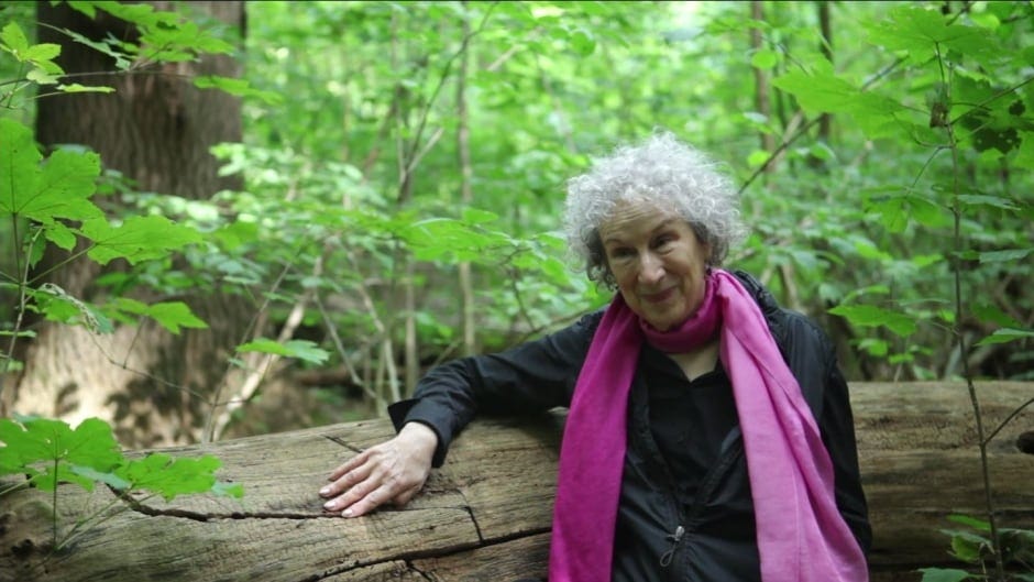 Margaret Atwood becomes 1st author to add secret story to Future Library | CBC News Margaret Atwood becomes 1st author to add secret story to Future Library | CBC News