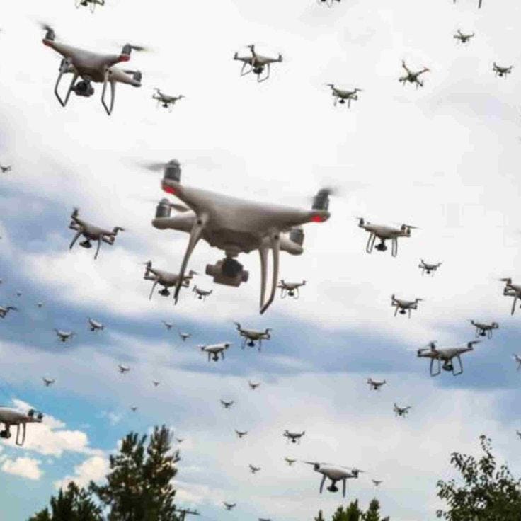 This may contain: a large group of flying birds in the sky with many cameras attached to their wings