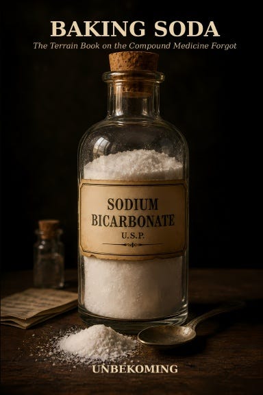 Baking Soda Baking Soda