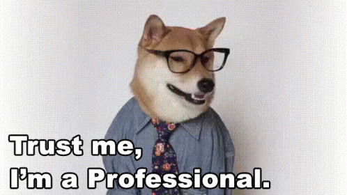 Trust Me Im A Professional GIF - Dog GIFs