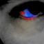 Avatar de User