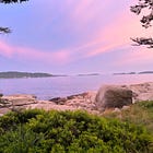 Are Islands Just Small Continents?