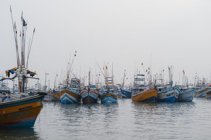 Nilwella Fishery Harbour, Sri Lanka