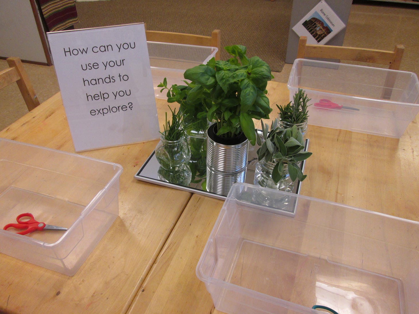 A table is set with four plastic tubs and in the center of the table is a collection of herb plants.