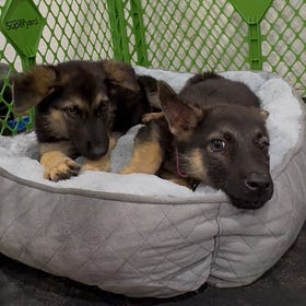 The Q4 scramble no one talks about