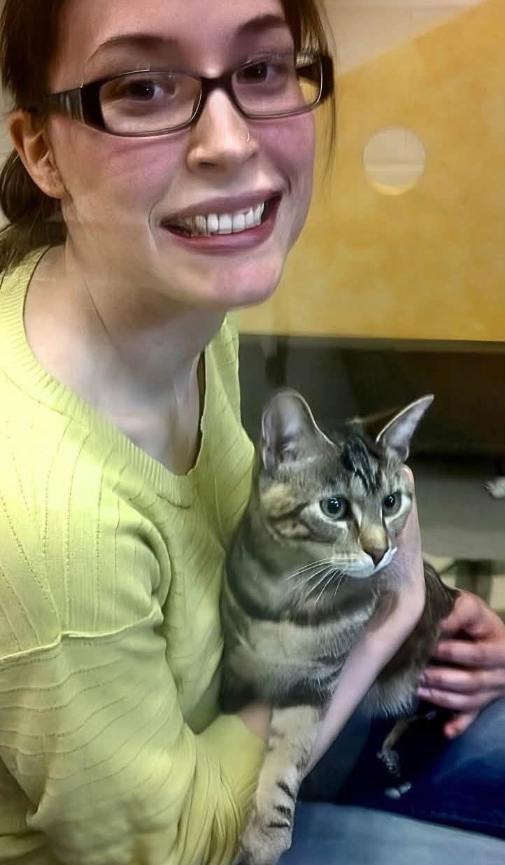 May be an image of cat May be an image of cat
