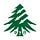 Toward an Old Growth Society