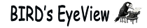BIRD's EyeView