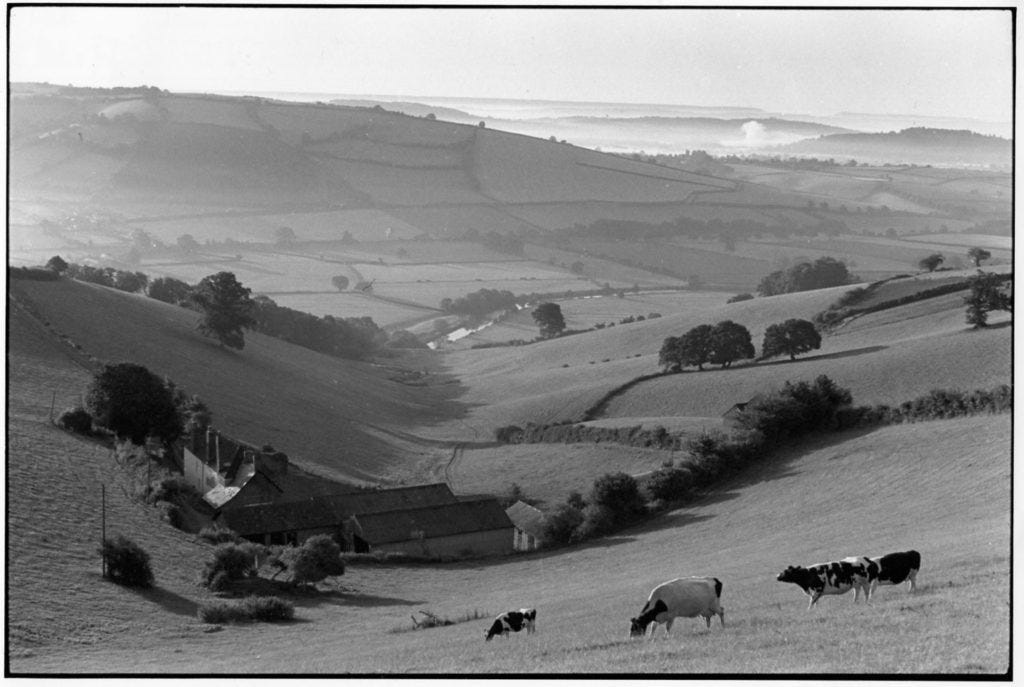 James Ravilious - without force or haste